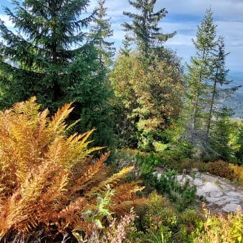 Tatry i ich piękno - Z aparatem przez Polskę